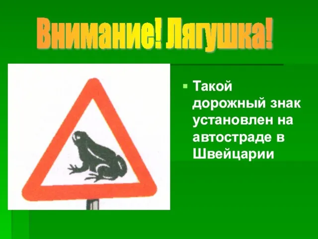 Такой дорожный знак установлен на автостраде в Швейцарии Внимание! Лягушка!