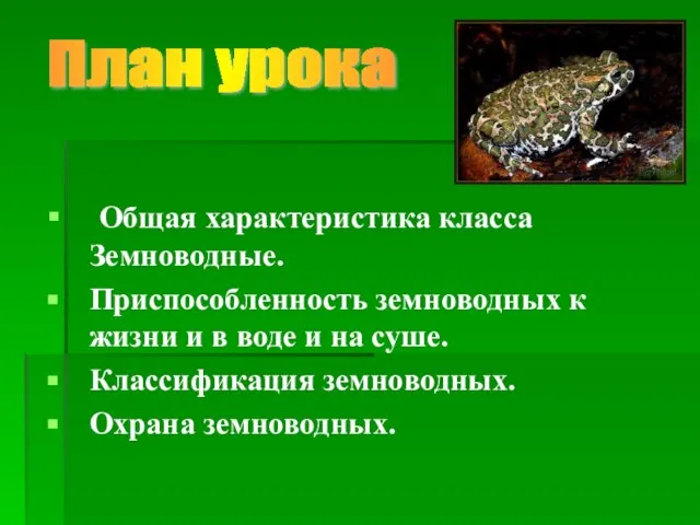 Общая характеристика класса Земноводные. Приспособленность земноводных к жизни и в воде