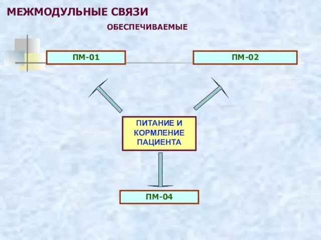 МЕЖМОДУЛЬНЫЕ СВЯЗИ ОБЕСПЕЧИВАЕМЫЕ ПИТАНИЕ И КОРМЛЕНИЕ ПАЦИЕНТА ПМ-01 ПМ-02 ПМ-04