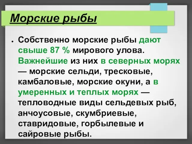 Морские рыбы Собственно морские рыбы дают свыше 87 % мирового улова.