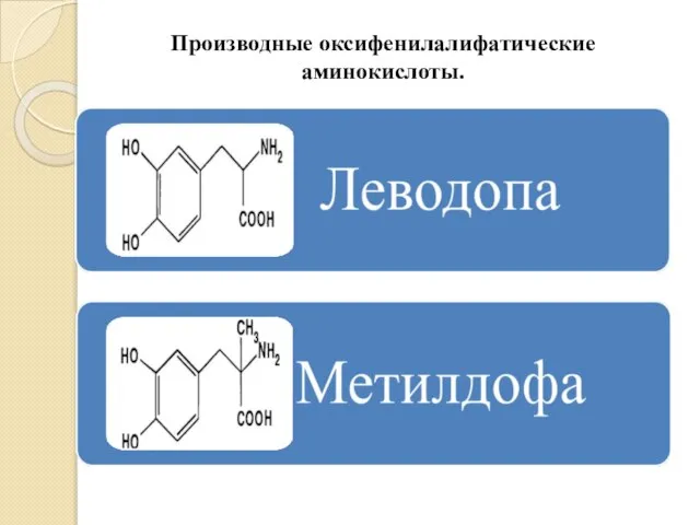 Производные оксифенилалифатические аминокислоты.