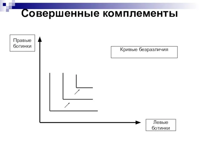 Совершенные комплементы Кривые безразличия Левые ботинки Правые ботинки