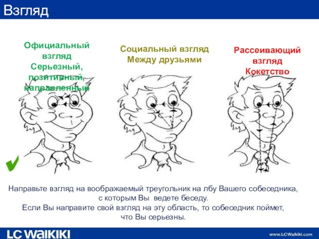 Взгляд Официальный взгляд Серьезный, позитивный, направленный Социальный взгляд Между друзьями Рассеивающий