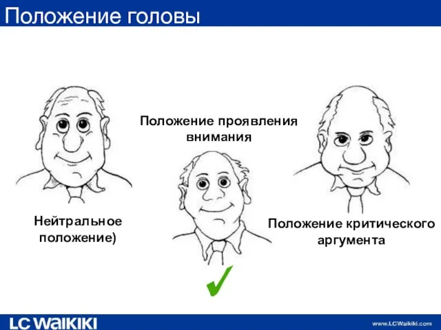 Положение головы Положение проявления внимания Нейтральное положение) Положение критического аргумента