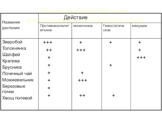 Основные свойства трав, используемых для лечения почек