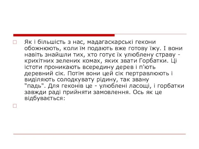 Як і більшість з нас, мадагаскарські гекони обожнюють, коли їм подають