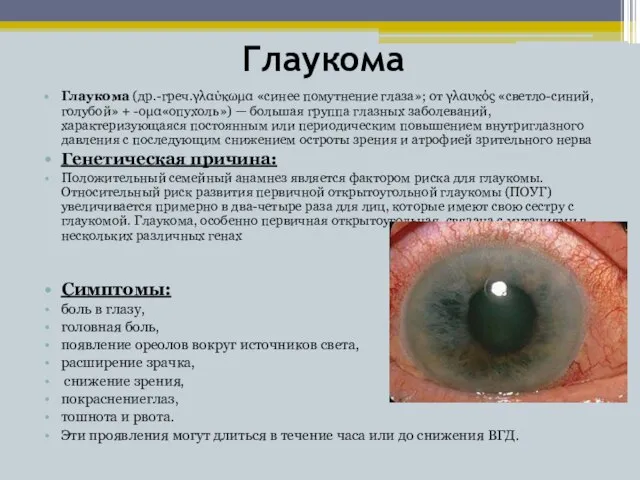 Глаукома Глаукома (др.-греч.γλαύκωμα «синее помутнение глаза»; от γλαυκός «светло-синий, голубой» +