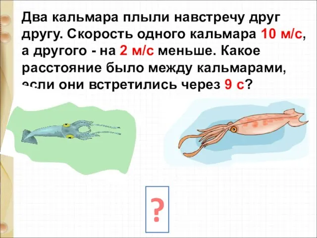 Два кальмара плыли навстречу друг другу. Скорость одного кальмара 10 м/с,