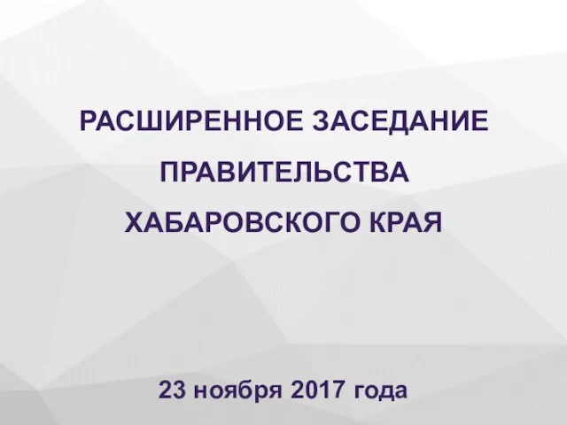 23 ноября 2017 года РАСШИРЕННОЕ ЗАСЕДАНИЕ ПРАВИТЕЛЬСТВА ХАБАРОВСКОГО КРАЯ