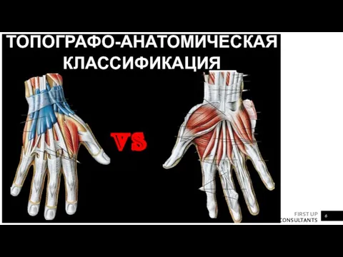 ТОПОГРАФО-АНАТОМИЧЕСКАЯ КЛАССИФИКАЦИЯ vs