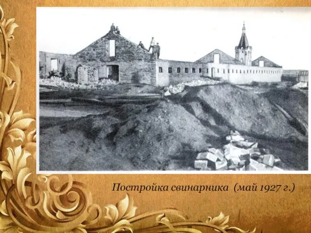 Постройка свинарника (май 1927 г.)