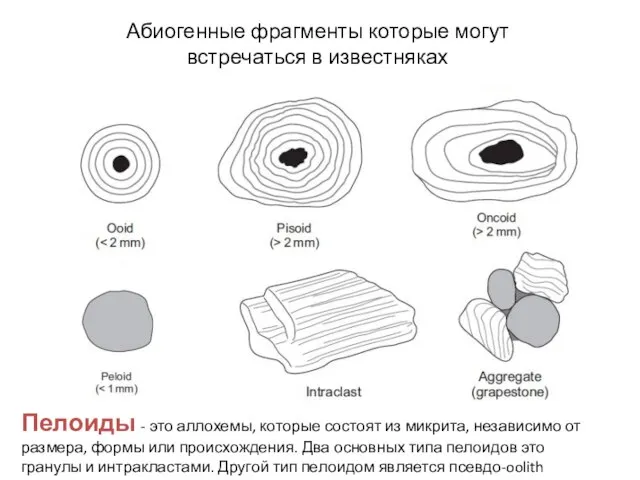 Абиогенные фрагменты которые могут встречаться в известняках Пелоиды - это аллохемы,