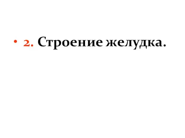 2. Строение желудка.