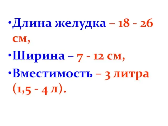 Длина желудка – 18 - 26 см, Ширина – 7 -