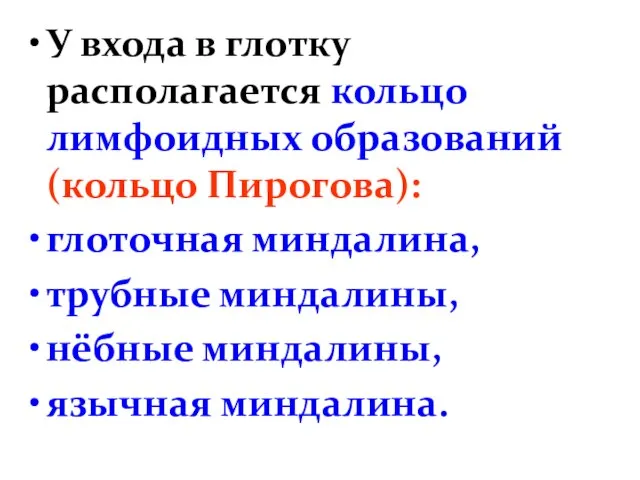 У входа в глотку располагается кольцо лимфоидных образований (кольцо Пирогова): глоточная