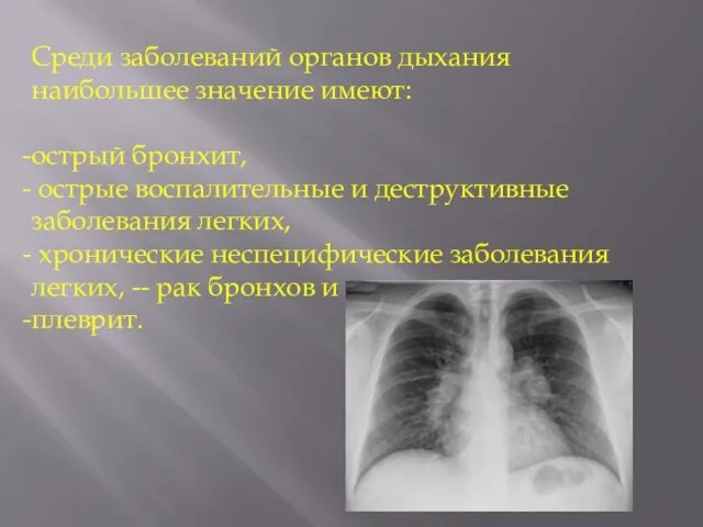 Среди заболеваний органов дыхания наибольшее значение имеют: острый бронхит, острые воспалительные