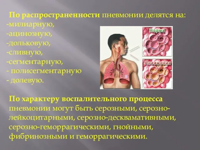 По распространенности пневмонии делятся на: милиарную, ацинозную, дольковую, сливную, сегментарную, полисегментарную