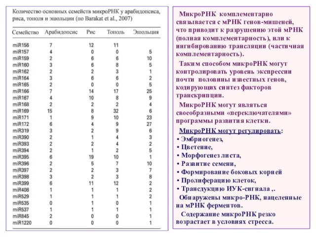 МикроРНК комплементарно связывается с мРНК генов-мишеней, что приводит к разрушению этой