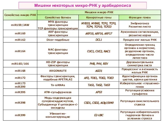 Мишени некоторых микро-РНК у арабидопсиса