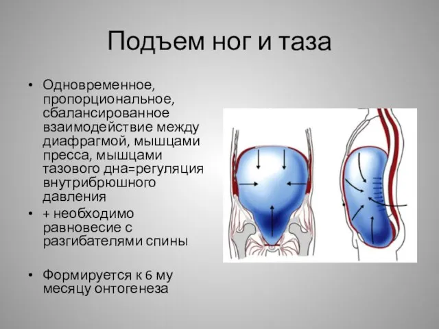 Подъем ног и таза Одновременное, пропорциональное, сбалансированное взаимодействие между диафрагмой, мышцами