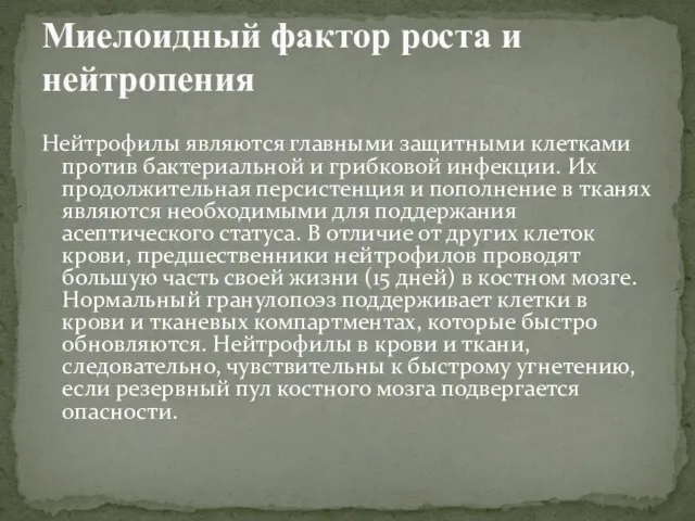 Нейтрофилы являются главными защитными клетками против бактериальной и грибковой инфекции. Их