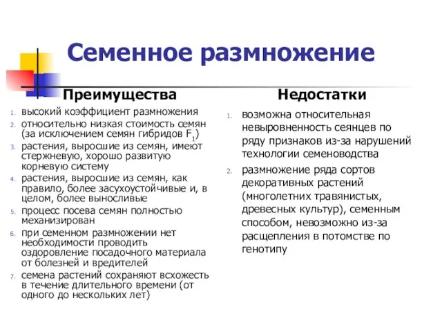 Семенное размножение Преимущества высокий коэффициент размножения относительно низкая стоимость семян (за