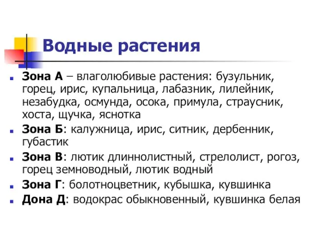 Водные растения Зона А – влаголюбивые растения: бузульник, горец, ирис, купальница,