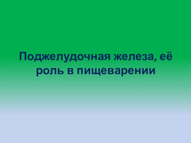 Поджелудочная железа, её роль в пищеварении