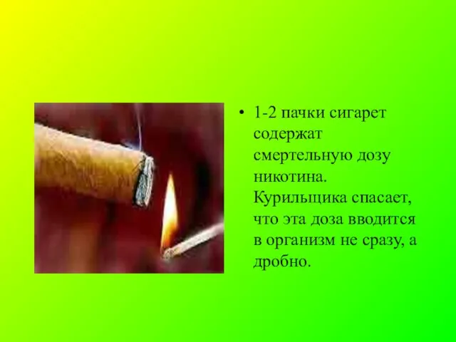 1-2 пачки сигарет содержат смертельную дозу никотина. Курильщика спасает, что эта