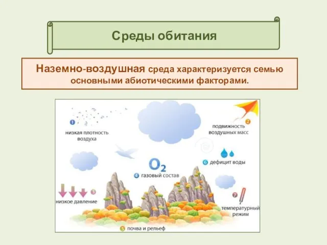 Среды обитания Наземно-воздушная среда характеризуется семью основными абиотическими факторами.