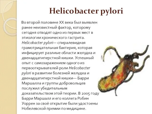 Helicobacter pylori Во второй половине XX века был выявлен ранее неизвестный