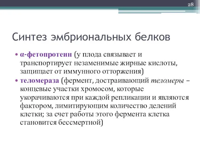 Синтез эмбриональных белков α-фетопротеин (у плода связывает и транспортирует незаменимые жирные