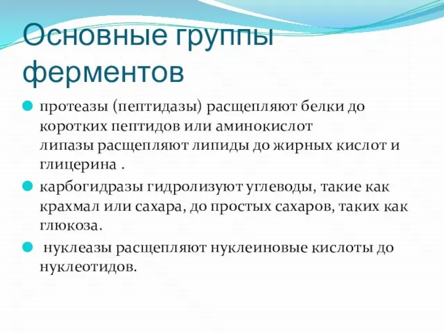 Основные группы ферментов протеазы (пептидазы) расщепляют белки до коротких пептидов или