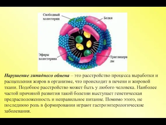 Нарушение липидного обмена – это расстройство процесса выработки и расщепления жиров