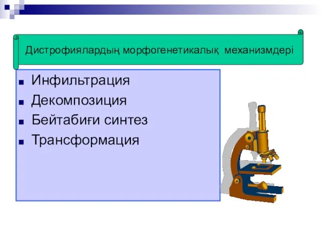 Инфильтрация Декомпозиция Бейтабиғи синтез Трансформация Дистрофиялардың морфогенетикалық механизмдері