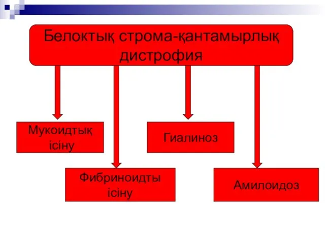 Белоктық строма-қантамырлық дистрофия Мукоидтық ісіну Фибриноидты ісіну Гиалиноз Амилоидоз