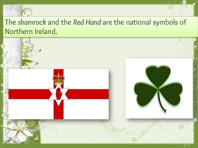 The shamrock and the Red Hand are the national symbols of Northern Ireland.