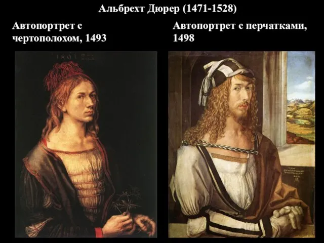 Автопортрет с чертополохом, 1493 Автопортрет с перчатками, 1498 Альбрехт Дюрер (1471-1528)