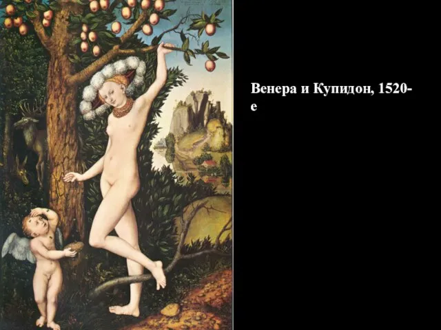 Венера и Купидон, 1520-е