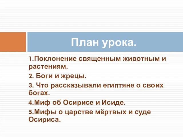 1.Поклонение священным животным и растениям. 2. Боги и жрецы. 3. Что