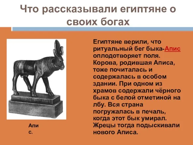 Что рассказывали египтяне о своих богах Египтяне верили, что ритуальный бег