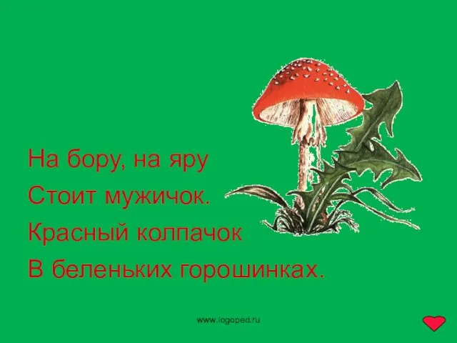 www.logoped.ru На бору, на яру Стоит мужичок. Красный колпачок В беленьких горошинках.