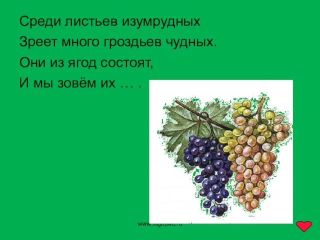 www.logoped.ru Среди листьев изумрудных Зреет много гроздьев чудных. Они из ягод