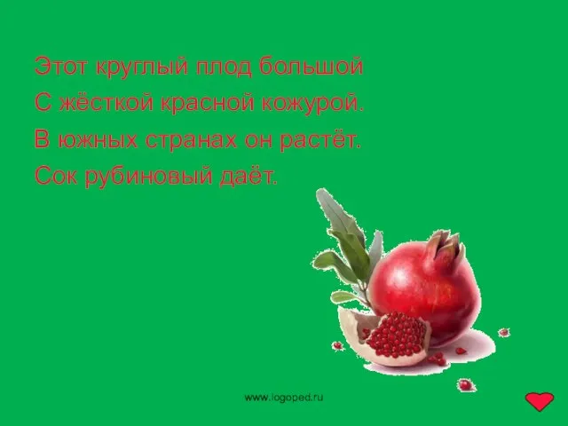 www.logoped.ru Этот круглый плод большой С жёсткой красной кожурой. В южных