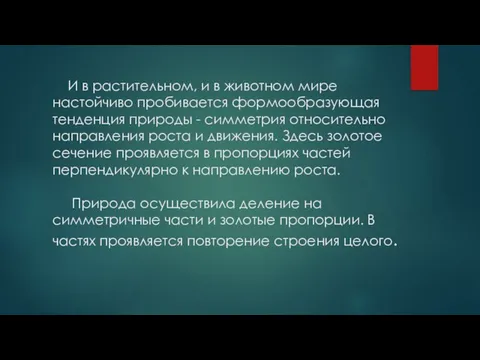 И в растительном, и в животном мире настойчиво пробивается формообразующая тенденция