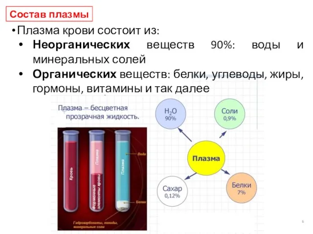 Состав плазмы Плазма крови состоит из: Неорганических веществ 90%: воды и