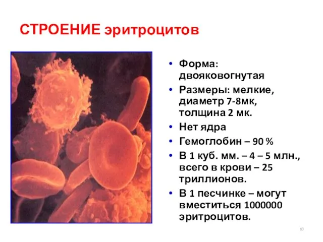 СТРОЕНИЕ эритроцитов Форма: двояковогнутая Размеры: мелкие, диаметр 7-8мк, толщина 2 мк.