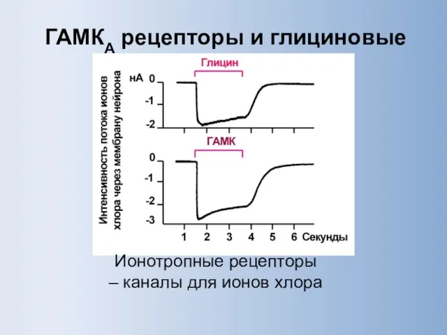 ГАМКА рецепторы и глициновые Ионотропные рецепторы – каналы для ионов хлора