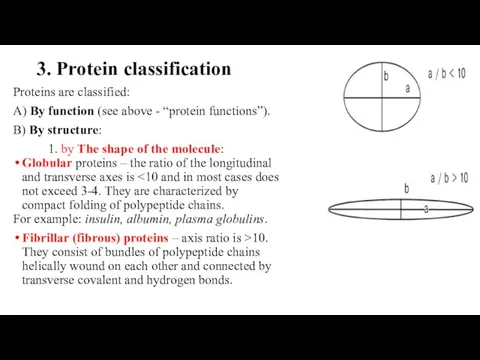 3. Protein classification Proteins are classified: A) By function (see above