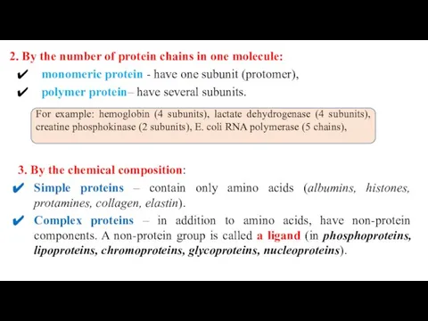 2. By the number of protein chains in one molecule: monomeric